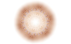 2015 3 07 Dark Days 030-white.jpg